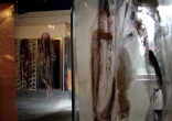 Ausstellung TRANSPARENTE GÖTTER von Elisabeth Rößler